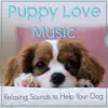 Dog Music Dreams, Dog Music & Relaxmydog - Puppy Love Music: Relaxing Sounds to Help Your Dog